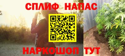 шишки Ставрополь