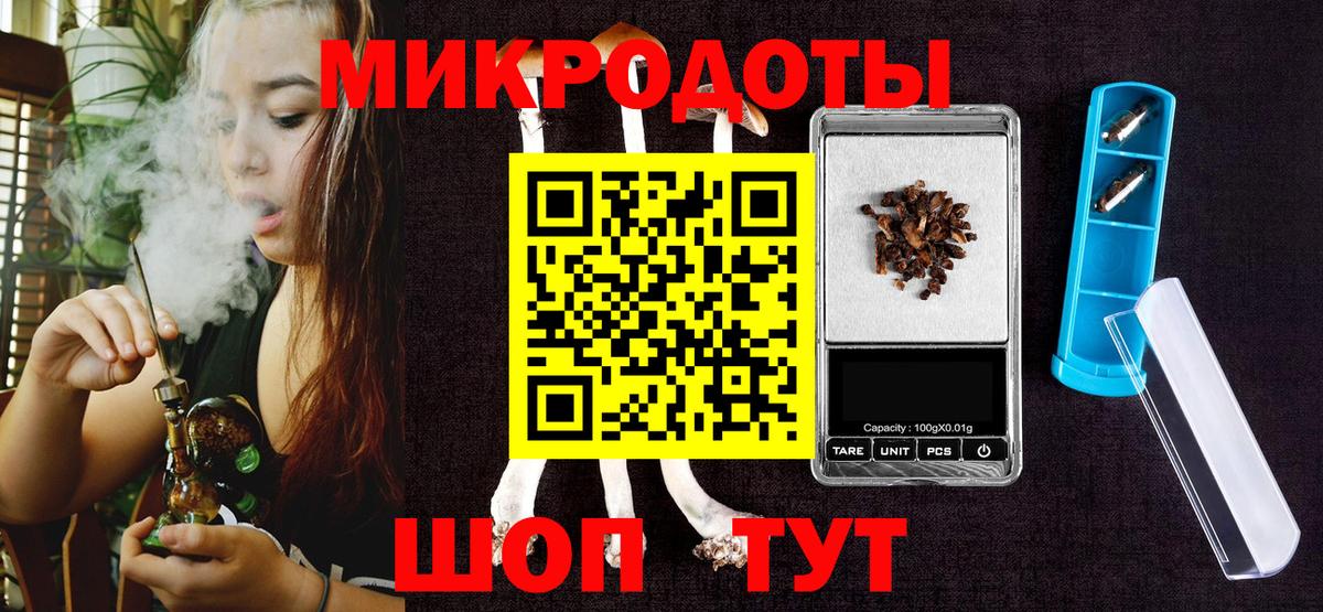 Галлюциногенные грибы Psilocybine cubensis Новороссийск