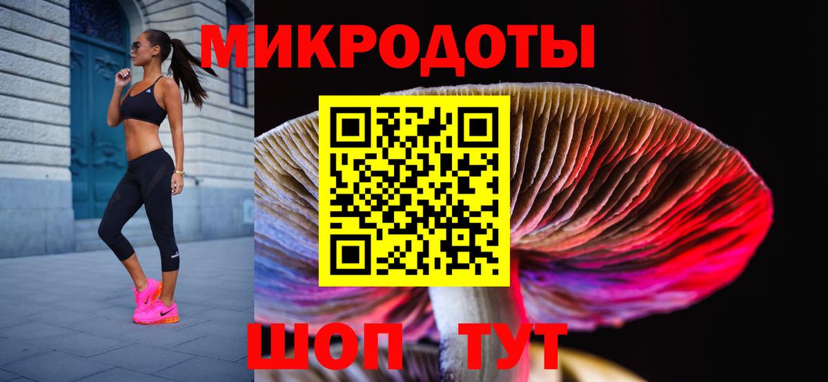 Псилоцибиновые грибы мицелий  наркошоп  Псилоцибиновые грибы прущие грибы  Новороссийск  Вход с VPN 